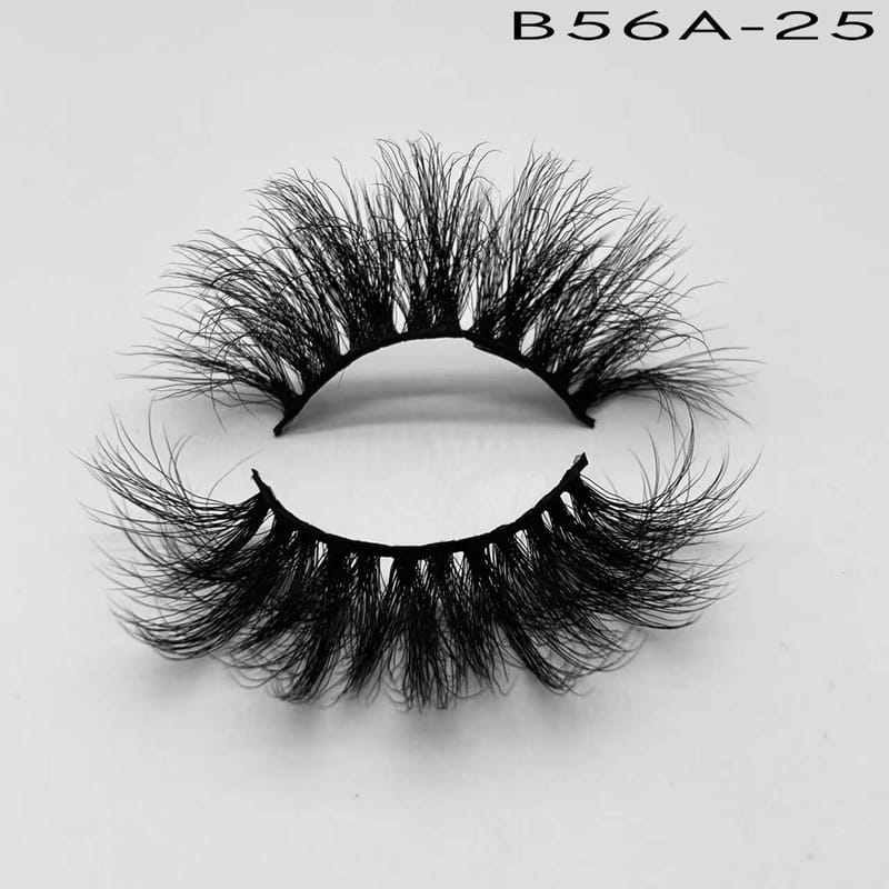 B56A-25