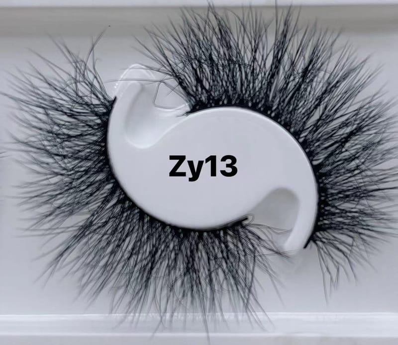 ZY13