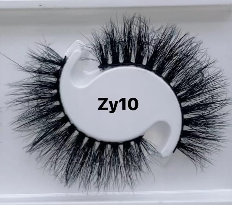 ZY10