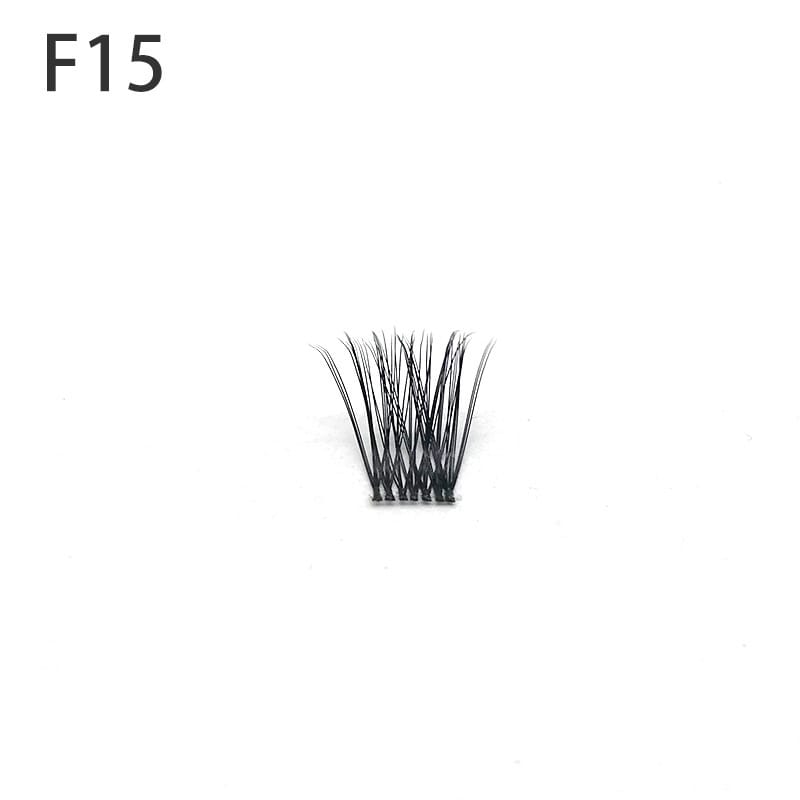 F15