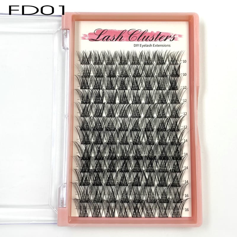 FD01