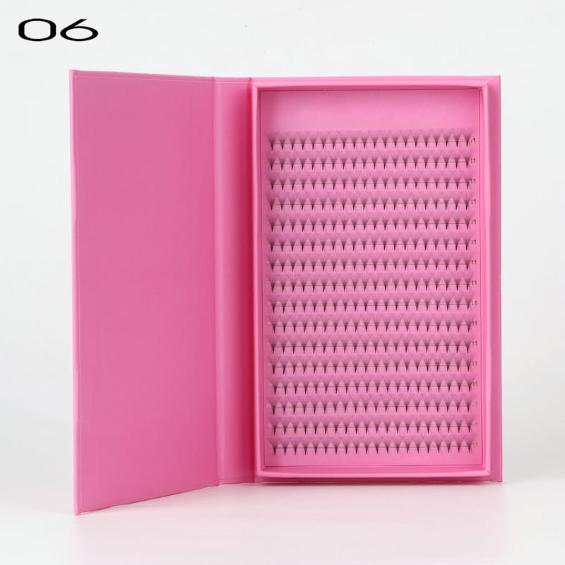 06
