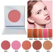 5 Color Pressed Powder Blush - Vegan Holographic