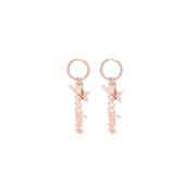 Custom Stainless Steel Earrings with Star