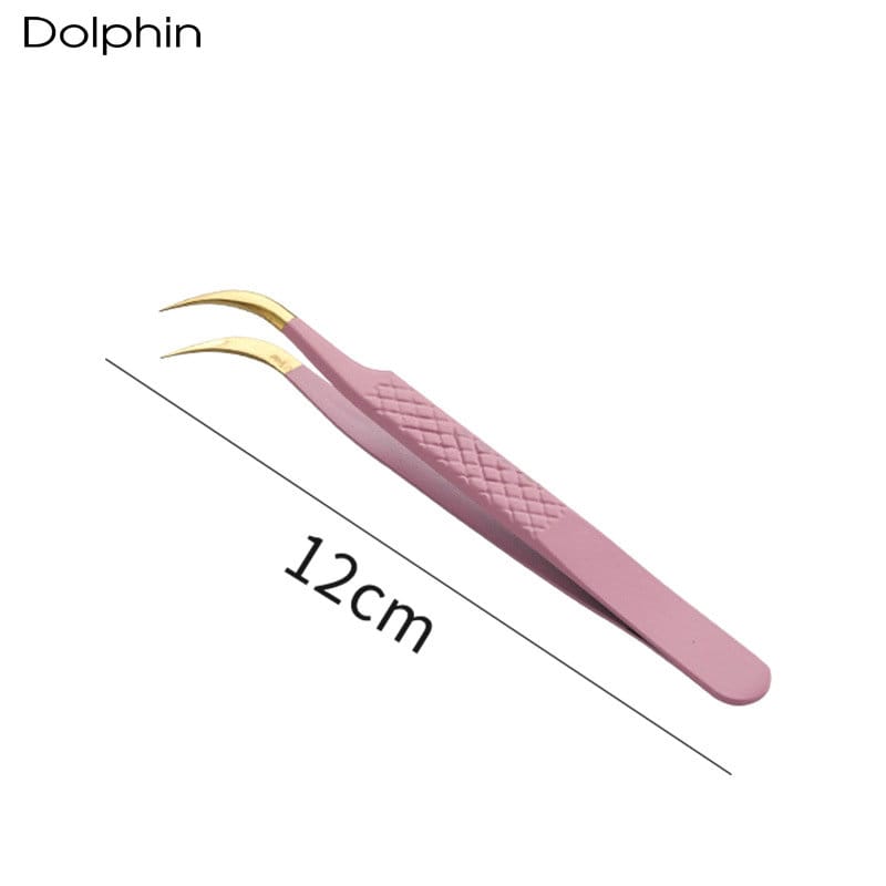 Dolphin