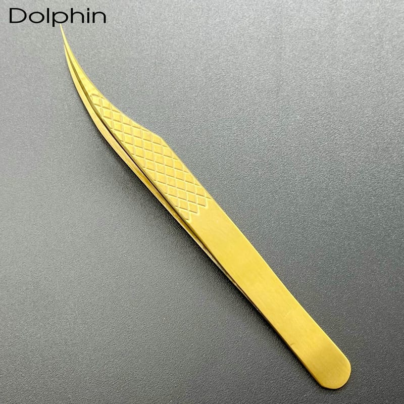 Dolphin