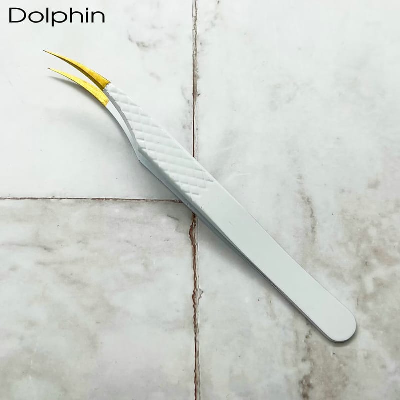 Dolphin