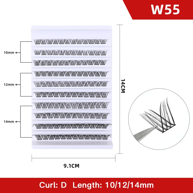 W55