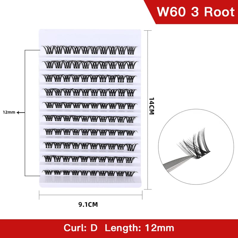 W60 3 Root