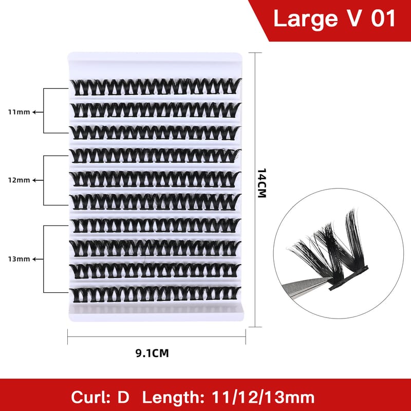 Large V 01