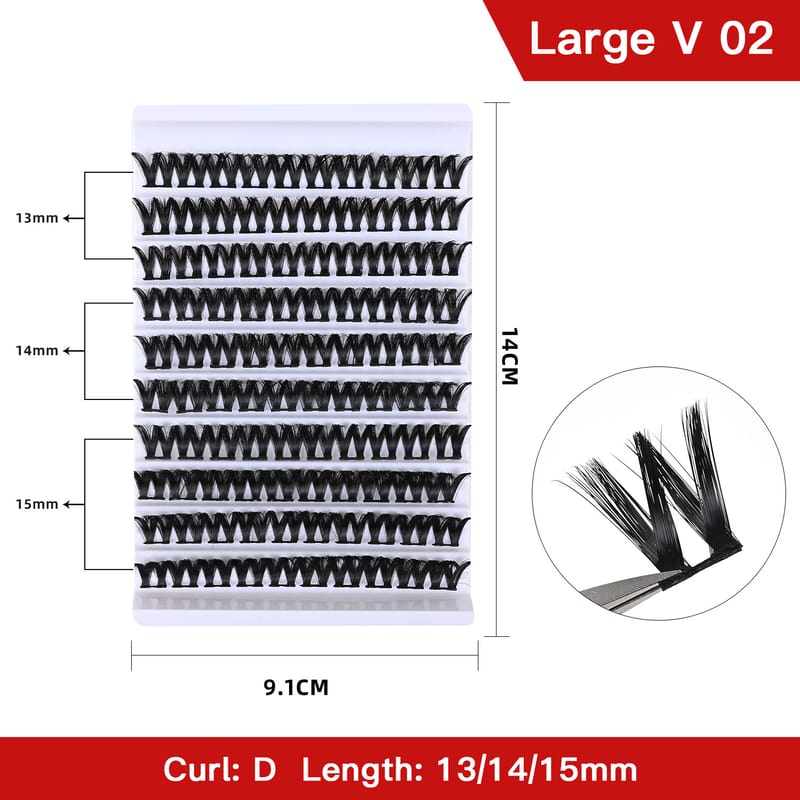 Large V 02