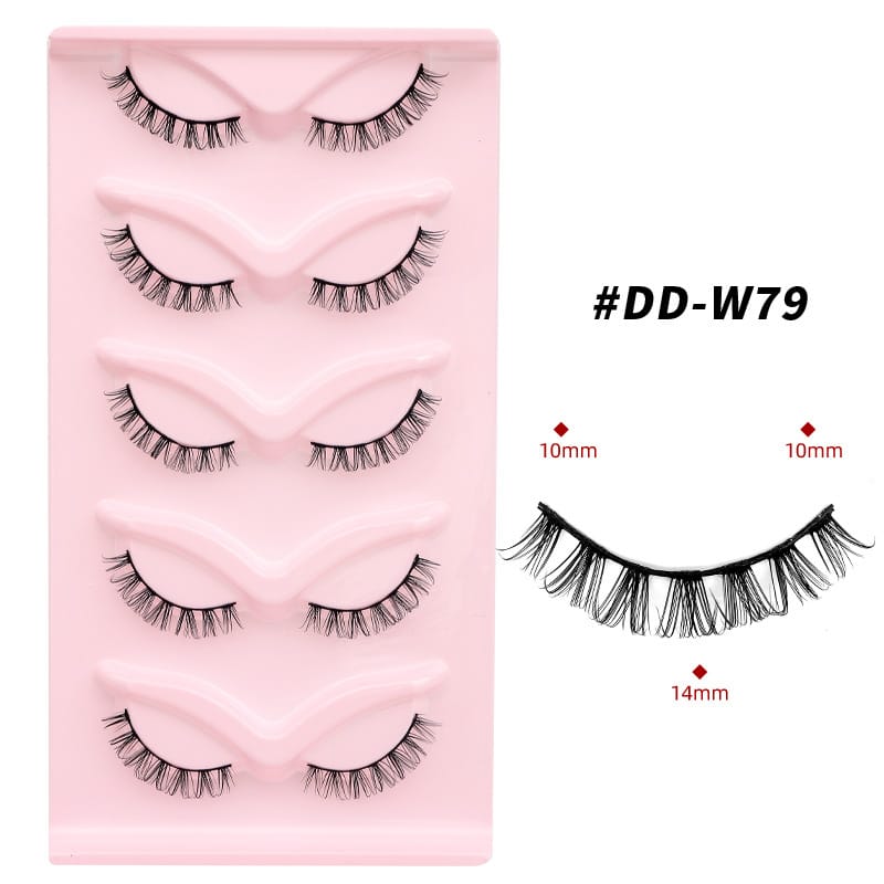 DD-W79