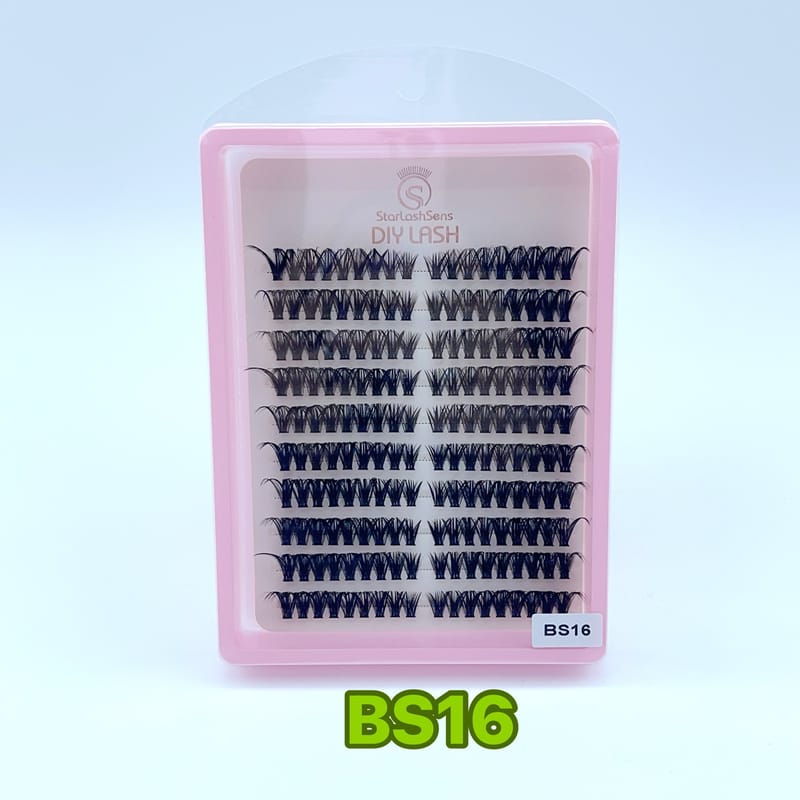 BS16