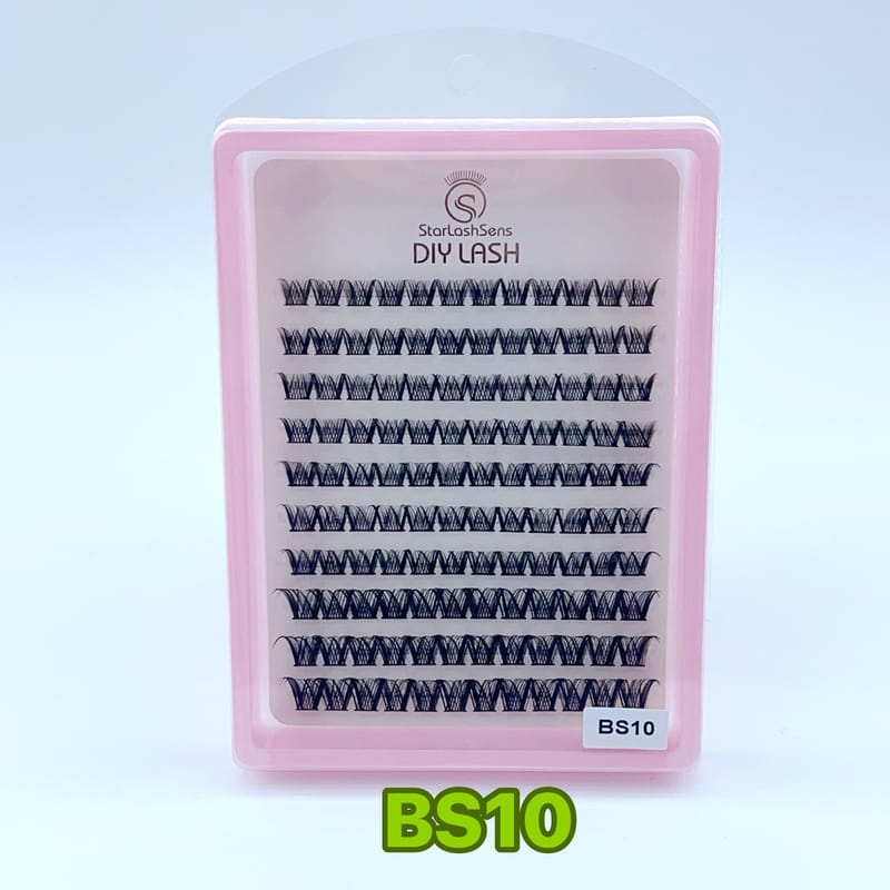 BS10