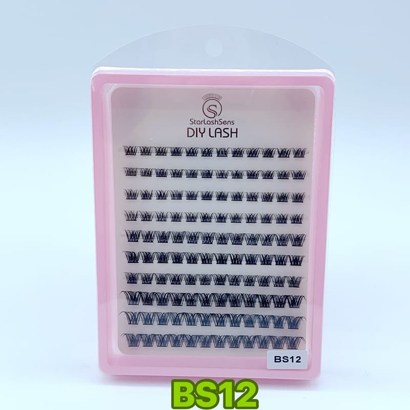 BS12