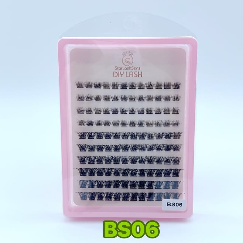 BS06