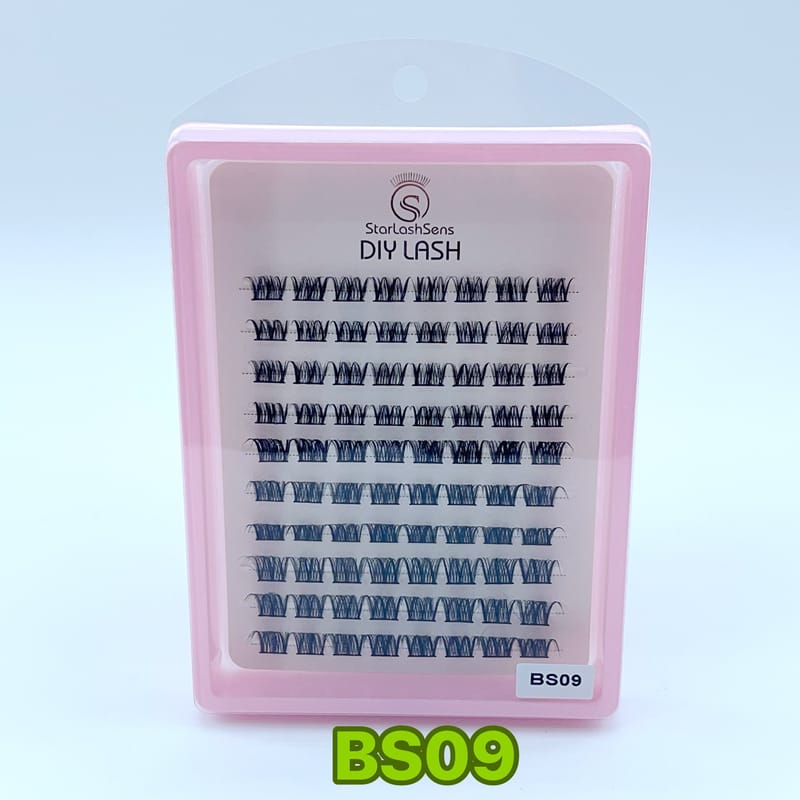 BS09