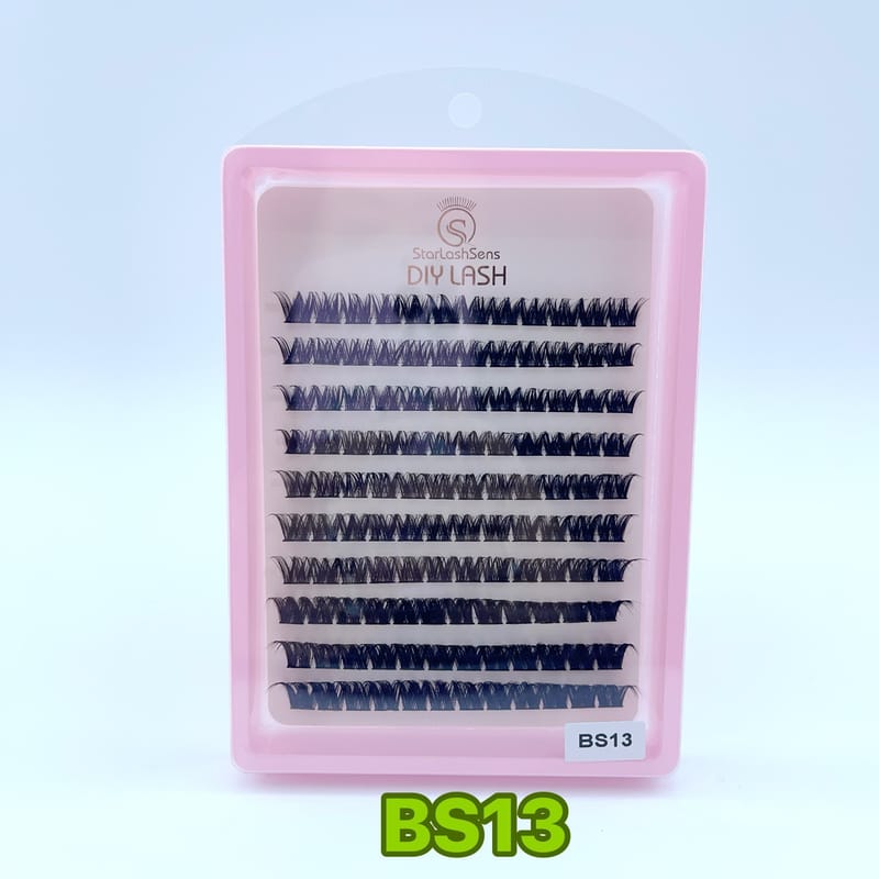 BS13