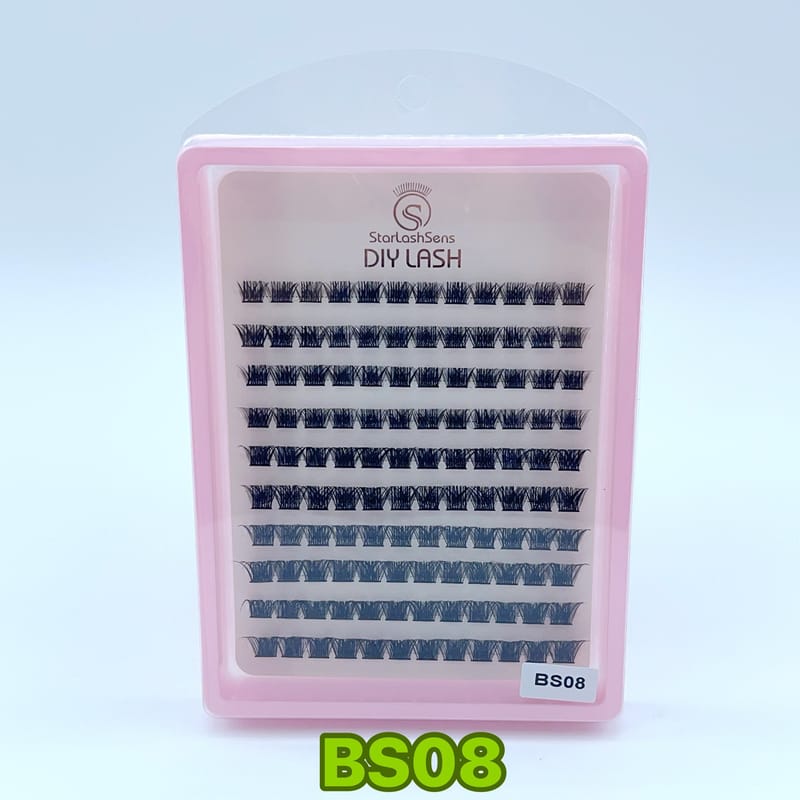 BS08
