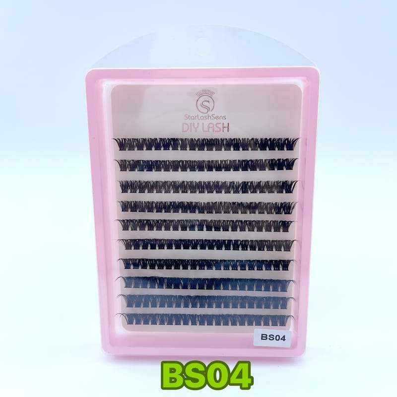BS04