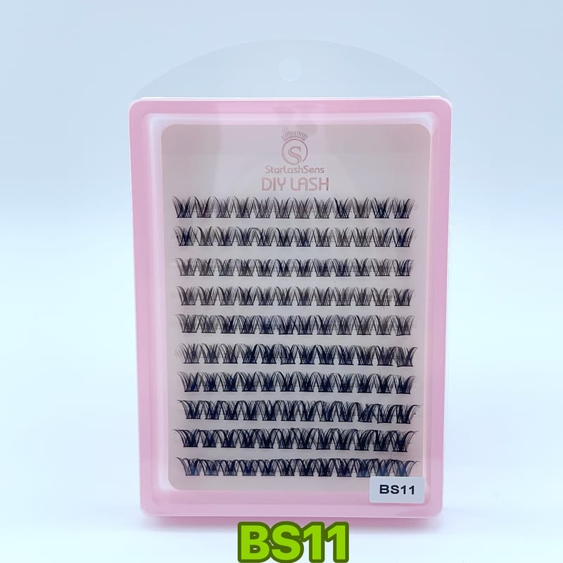 BS11