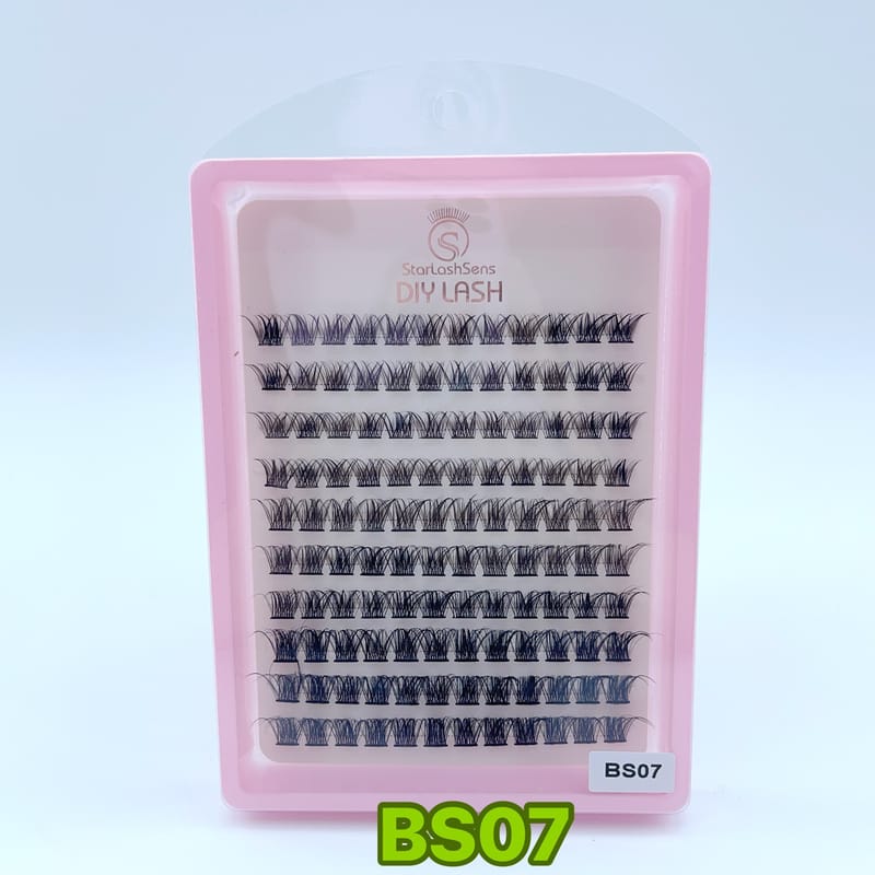 BS07