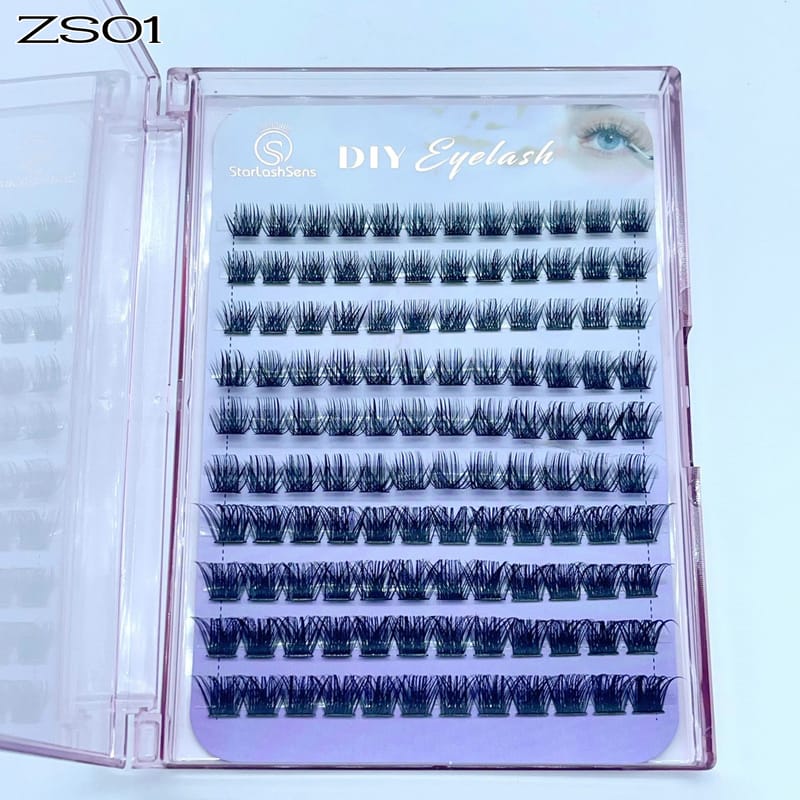 ZS01
