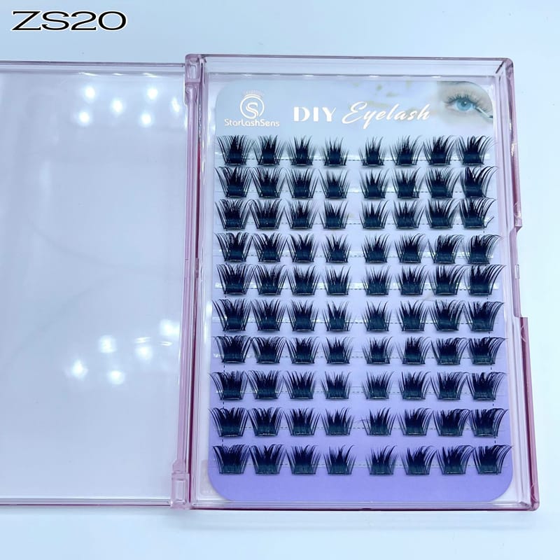 ZS20