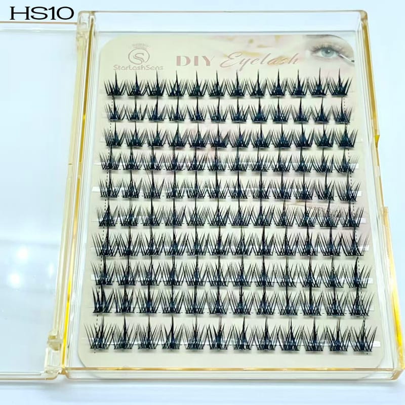 HS10