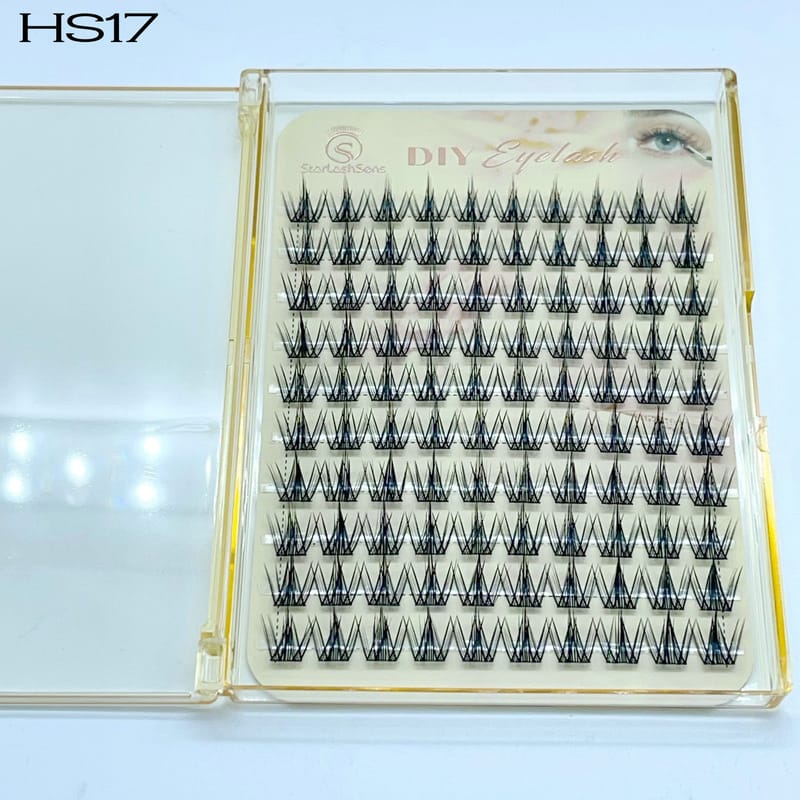 HS17