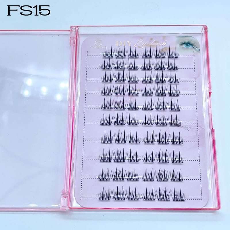 FS15