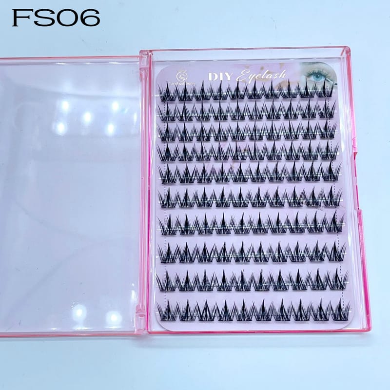 FS06