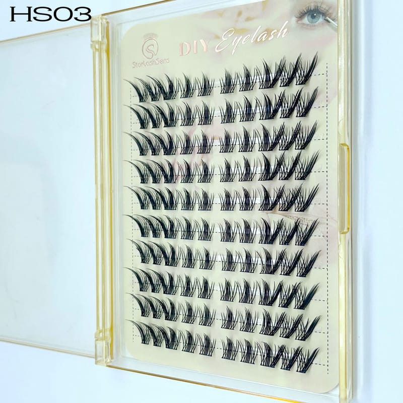 HS03