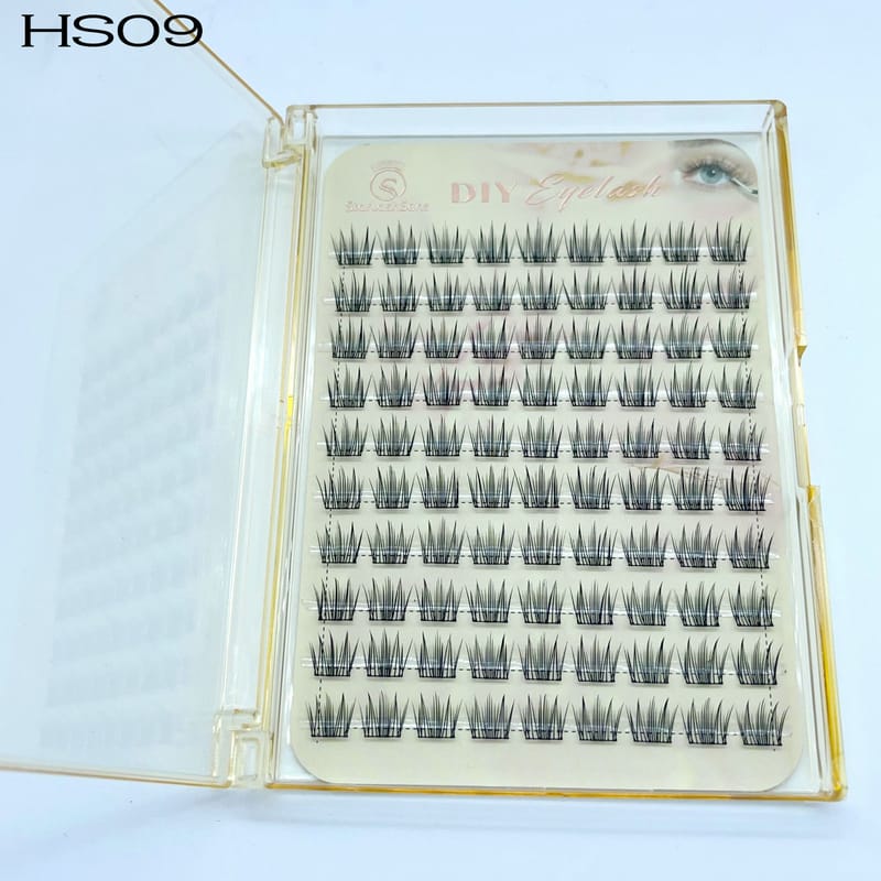 HS09