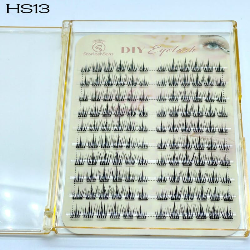 HS13