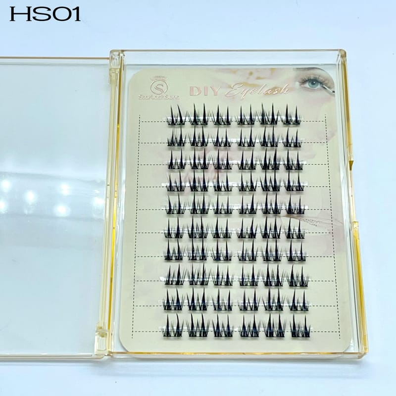 HS01