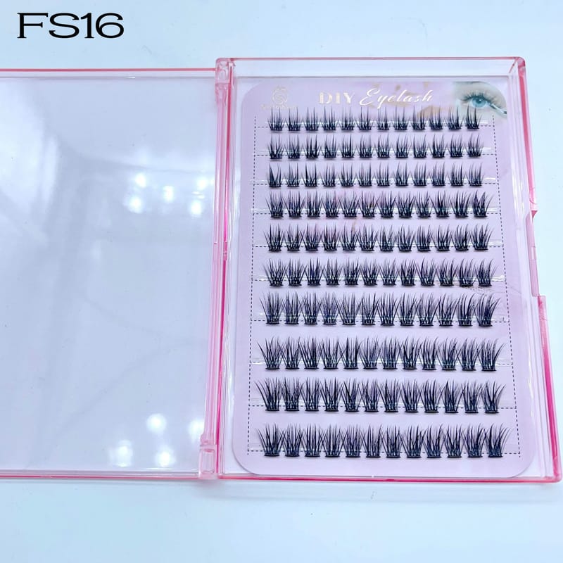FS16