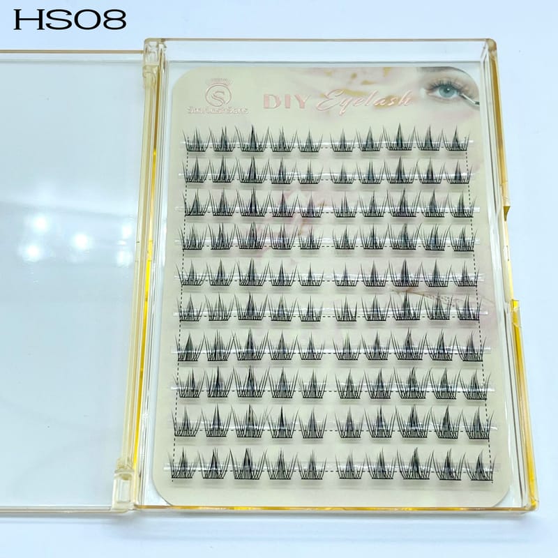 HS08