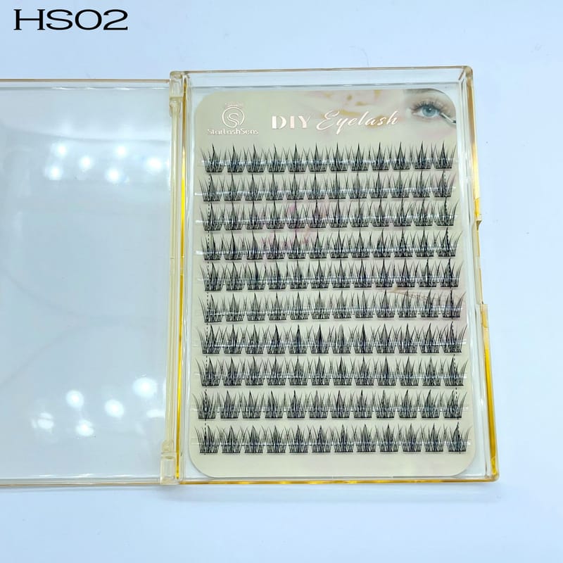 HS02