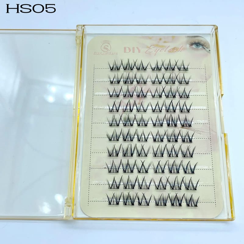 HS05