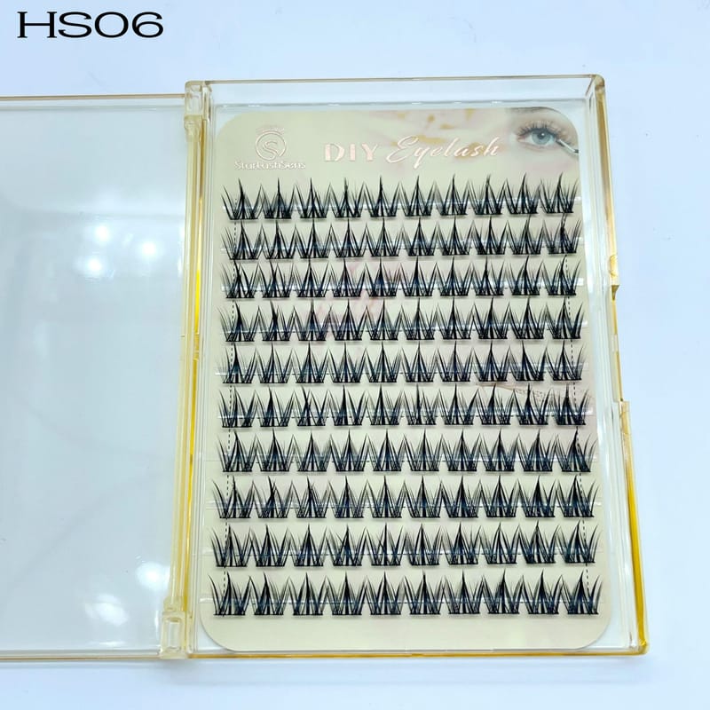 HS06