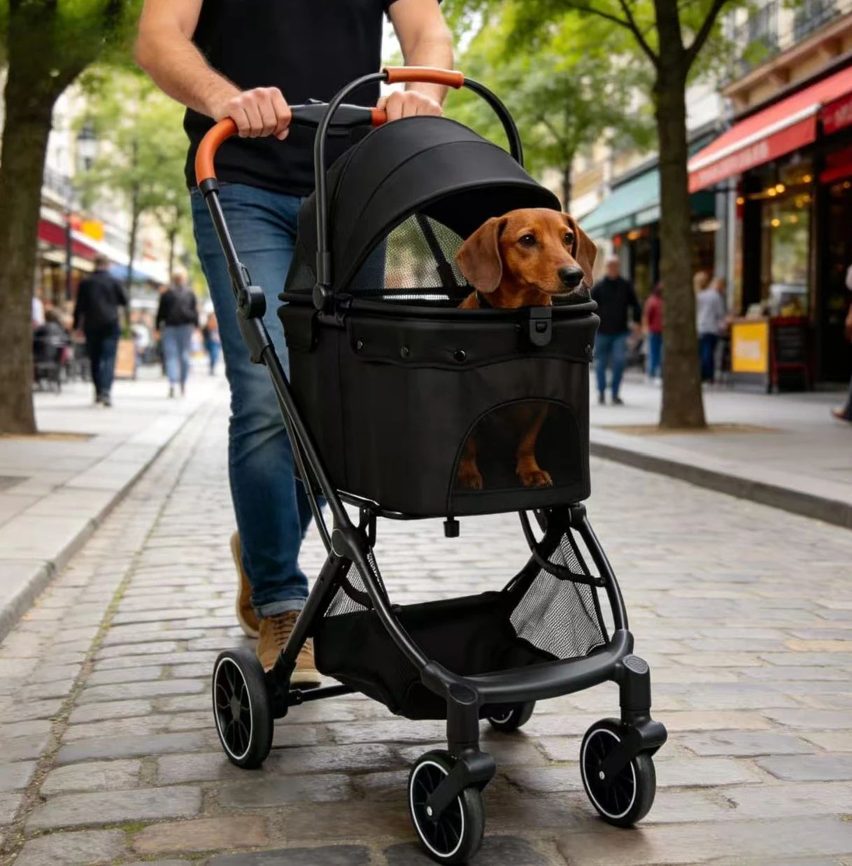 Best Pet Stroller for Small Dogs and Cats