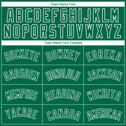 Custom Kelly Green White Side Panel Abstract Lines Authentic City Edition Basketball Jersey