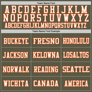 Custom Olive Orange-White Mesh Authentic Throwback Salute To Service Football Jersey