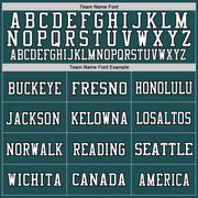 Custom Midnight Green Black-White Mesh Authentic Throwback Football Jersey