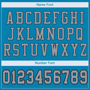 Custom Panther Blue Light Gray-Black Mesh Authentic Football Jersey