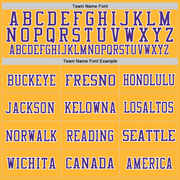 Custom Gold Purple-White Mesh Authentic Throwback Football Jersey