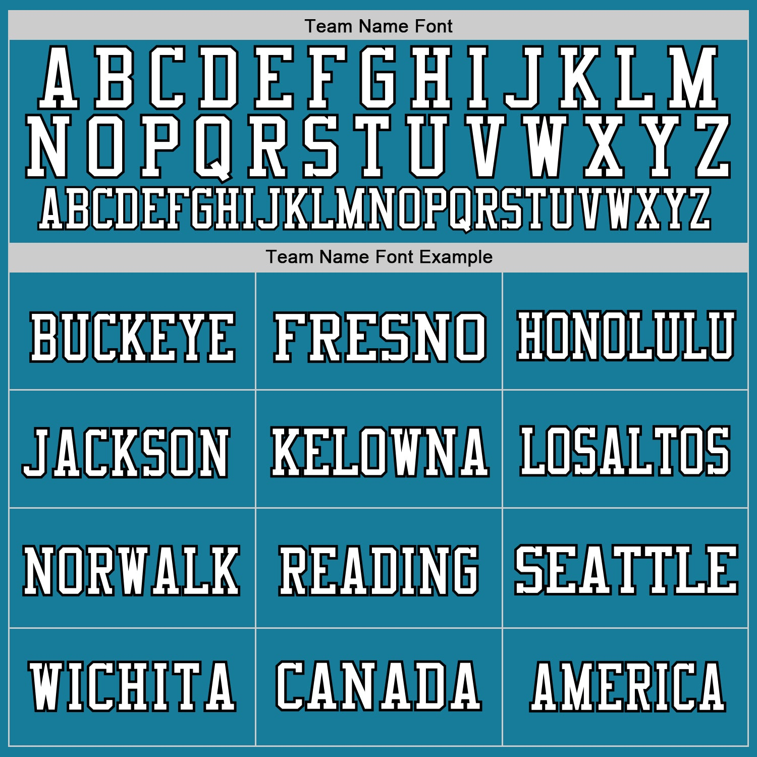 Custom Panther Blue Black-White Mesh Authentic Throwback Football Jersey