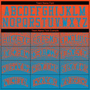 Custom Stitched Orange Panther Blue Fade Fashion Sports Pullover Sweatshirt Hoodie