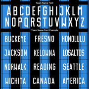 Custom Black White-Powder Blue Line Sublimation Soccer Uniform Jersey